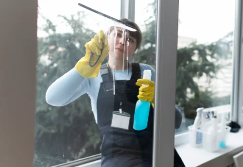 Nettoyage de vitres intérieures et extérieures à Dinozé